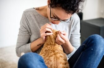 238-jj-6041_0 - Домашний питомец