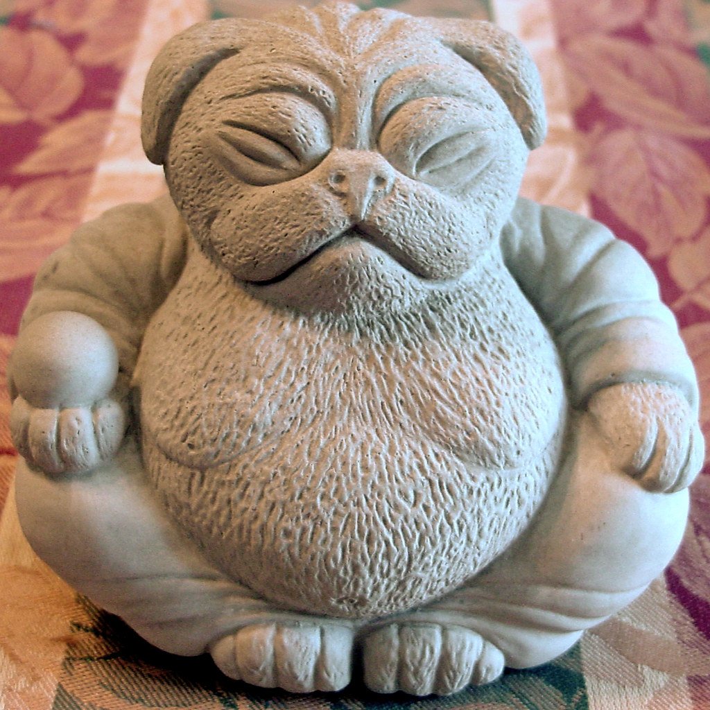 Історія походження та особливості породи мопс